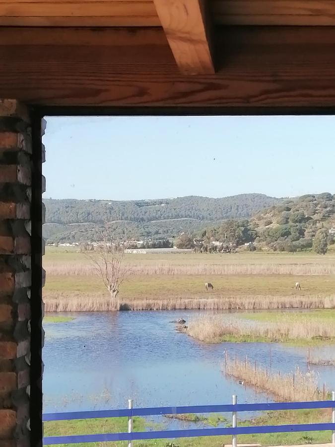 Casa Los Ibis Villa Vejer de la Frontera Eksteriør billede